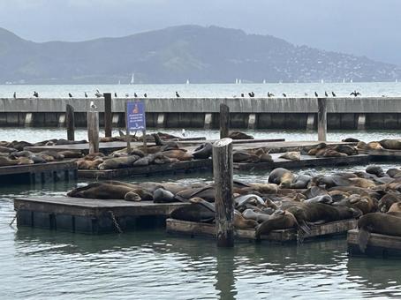アメリカ アメリカ 海外,アメリカ,旅行の写真素材