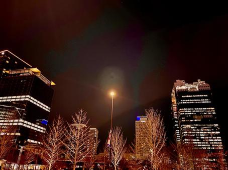夜の街並 夜の街並 都市,都市の街並,都会の写真素材