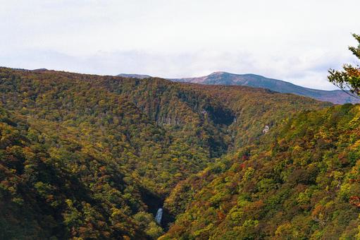 秋の山 紅葉 秋の山 紅葉の写真