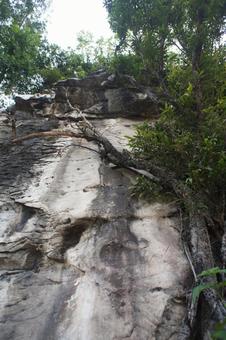 岩 岩,絶壁,石灰岩の写真素材