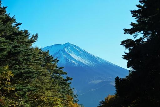 秋色の森から富士山が見える6 富士山,青空,日本の写真素材