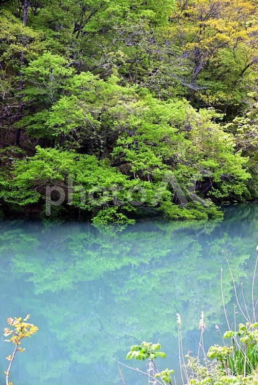 名もなき淵 淵,風景,自然の写真素材
