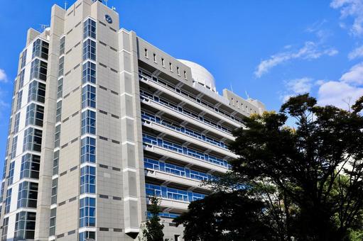 八尾市役所（大阪府） 八尾市役所,市役所,官公庁の写真素材