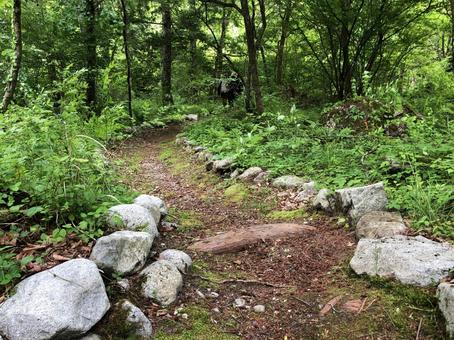 山道A 山道Aの写真