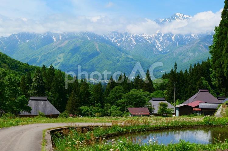 初夏の青鬼地区。白馬、長野。5月下旬。 青鬼,白馬,長野の写真素材