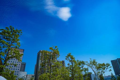 青空と高層マンション 青空と高層マンション 青空,雲,高層ビルの写真素材