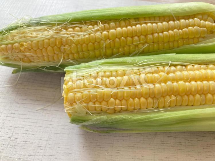夏野菜　とうもろこしのアップ トウモロコシ,とうきび,夏野菜の写真素材