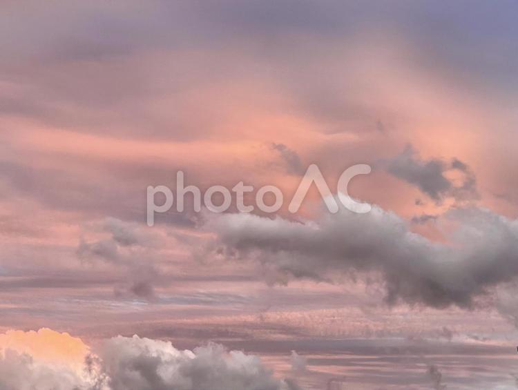 ピンクの世界 夕暮れ,夕暮れ時,空の写真素材