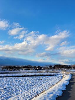 冬の散歩道 雪,積雪,雪景色の写真素材