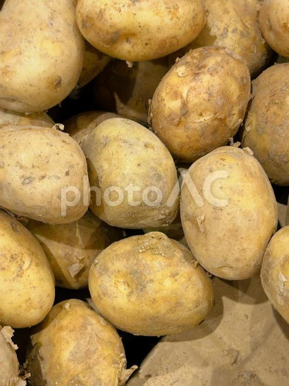 たくさんのじゃがいも 野菜,たくさん,食材の写真素材
