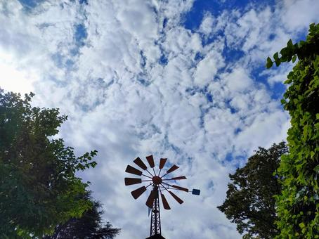 横浜港の見える丘公園の風車 横浜,風車,丘公園の写真素材