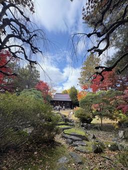 日本庭園の紅葉 紅葉,もみじ,日本庭園の写真素材