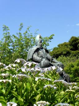 初夏の源氏山公園・源頼朝坐像とアジサイ 銅像,坐像,青銅の写真素材
