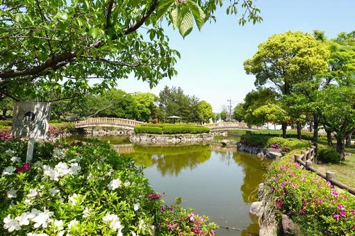 中部公園_愛知県高浜市 中部公園_愛知県高浜市 中部公園,愛知県,高浜市の写真素材