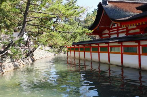 厳島神社01 厳島神社,社殿,宮島の写真素材