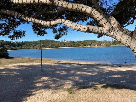 ビーチ 海辺,海,砂浜の写真素材