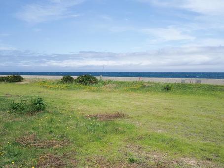 逢束あじさい公園 03の写真