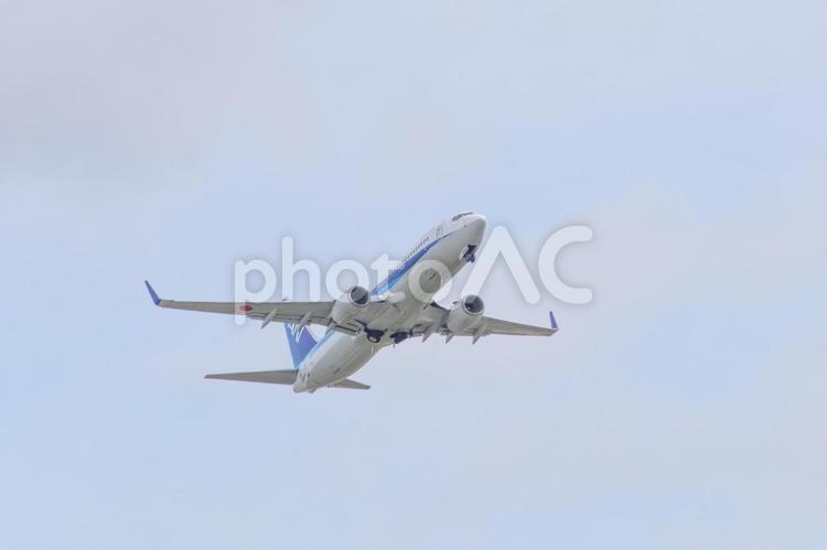青く澄む、旅立ちの朝 飛行機,航空機,旅客機の写真素材