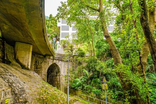 石橋と緑地 石橋と緑地の写真