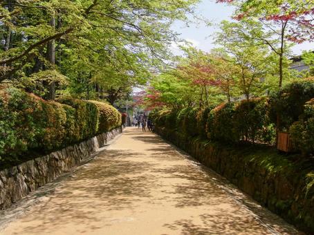 道 道の写真