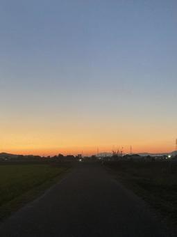 秋の夕焼け（縦）の写真