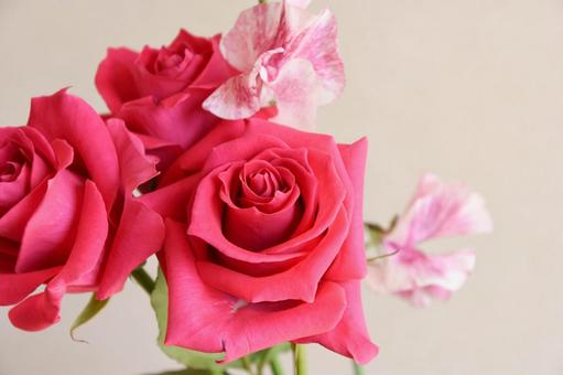 薔薇とスイートピー 薔薇とスイートピーの写真