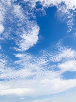 夏空 夏空の写真