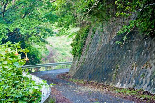 田舎の峠道 田舎の峠道の写真