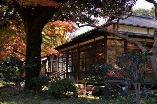 小石川後楽園の風景 小石川後楽園の風景 小石川後楽園,東京都,紅葉の写真素材