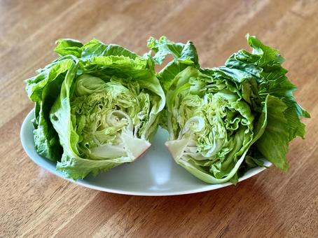 半分に切ったレタス レタス,野菜,食材の写真素材