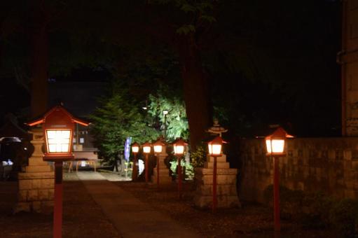 夜の参道の写真