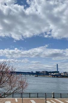Harumibashi Park (Toyosu), JPG