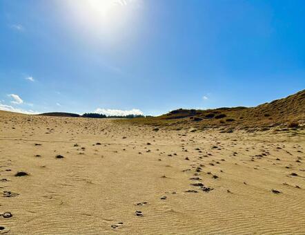 鳥取砂丘 鳥取,鳥取砂丘,鳥取県の写真素材
