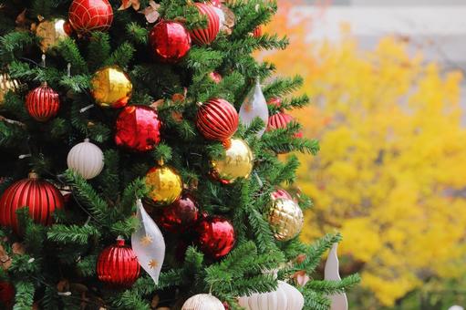 クリスマス モミの木 クリスマス モミの木 クリスマス,冬,モミの木の写真素材