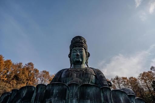 秋に訪れた昭和大仏 昭和大仏,仏像,紅葉の写真素材