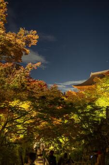 紅葉　京都　清水寺 紅葉,京都,清水寺の写真素材