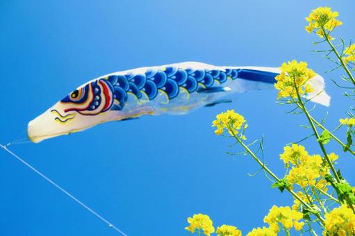 Carp streamer Children's Day image, JPG Carp streamer Children's Day image, carp streamer, blue sky, it's beautiful, JPG
