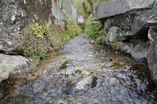 福岡 秋月 通りを流れる用水路1 福岡 秋月 通りを流れる用水路1の写真