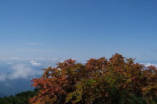 高山の紅葉 高山の紅葉 高山,秋空,紅葉の写真素材