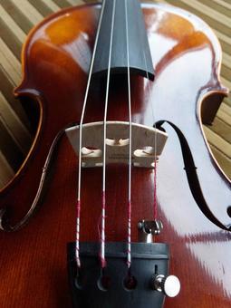 Body front of musical instrument strings and violin, JPG Body front of musical instrument strings and violin, violin, strings, gdae strings, JPG