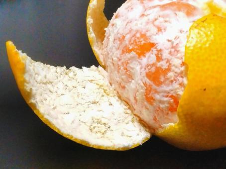 旬の早生ミカンの写真