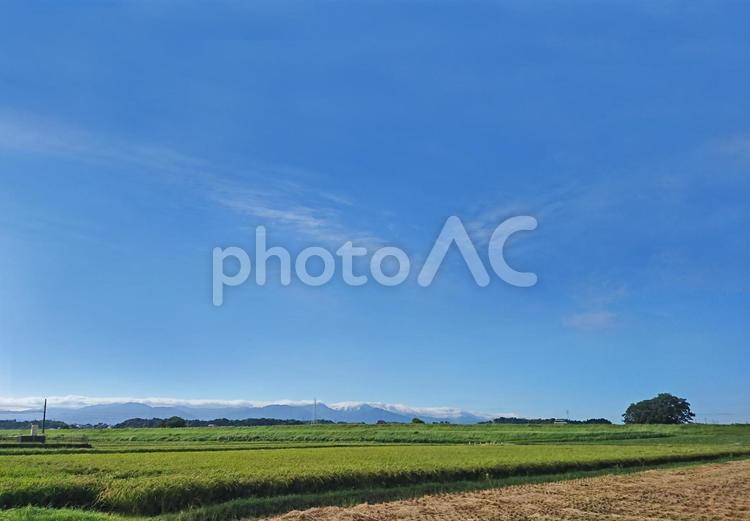 綺麗な青空とのどかな田園風景 青空,空,風景の写真素材
