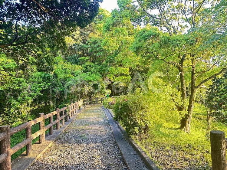 新宮市　丸山公園　遊具 新宮市,丸山公園,春の公園の写真素材