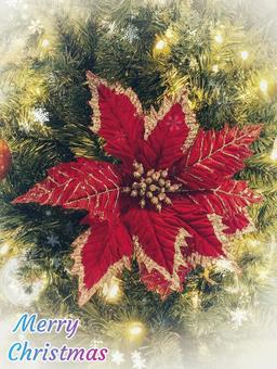 ツリーにポインセチア(ロゴ入り) クリスマス,ツリー,ポインセチアの写真素材