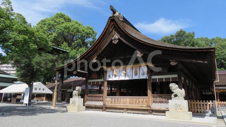 国府宮神社　拝殿 尾張大國霊神社,尾張大国霊神社,国府宮神社の写真素材