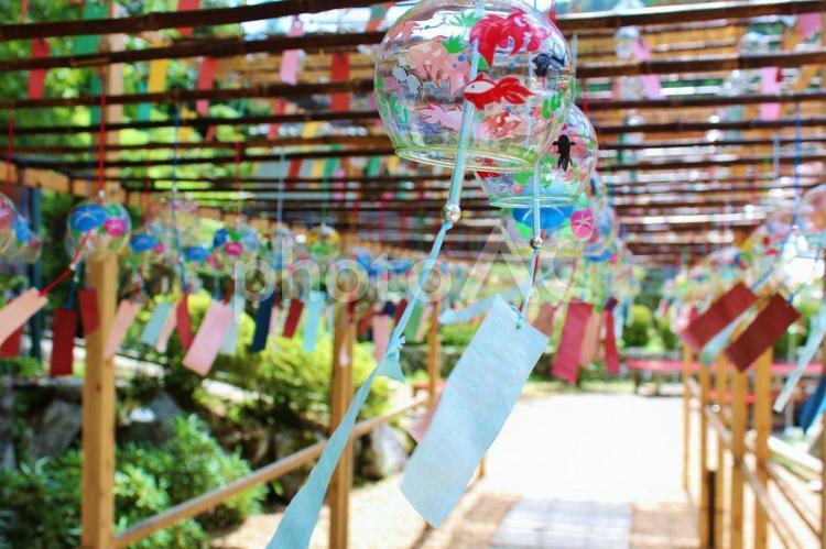京都・正寿院　夏の風鈴まつり 正寿院,しょうじゅいん,風鈴祭の写真素材