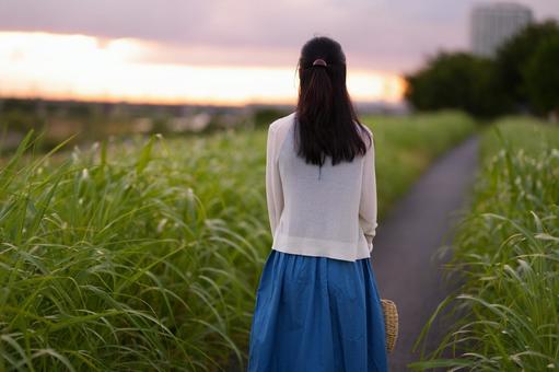 夕暮れを歩くハーフアップ女性の後ろ姿の写真