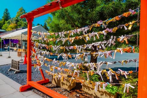 【宮城】宮城県護国神社 2025 【宮城】宮城県護国神社 2025 宮城,仙台,城跡の写真素材