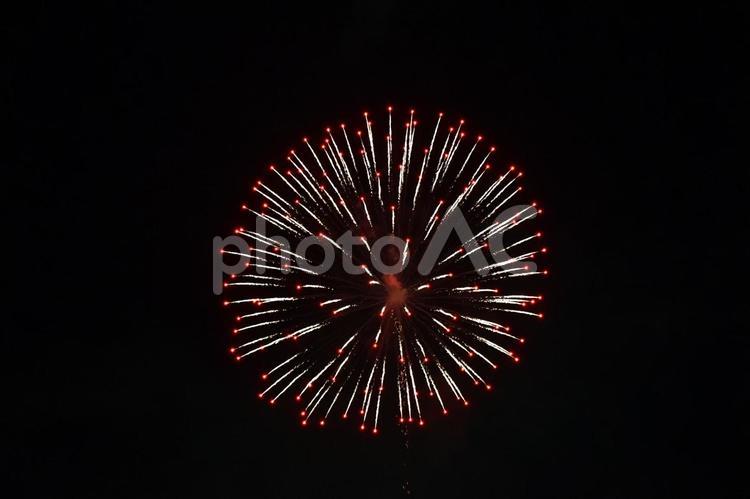 打ち上げ花火　赤 打ち上げ花火,綺麗,夜の写真素材