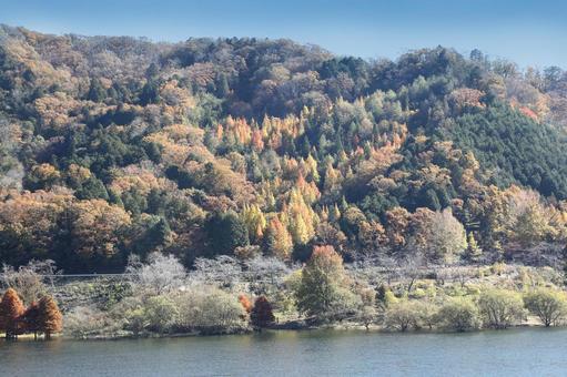 土師ダムの秋 広島県,北広島市,土師ダムの写真素材